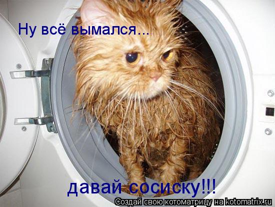 Котоматрица: Ну всё вымался... давай сосиску!!!
