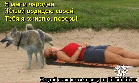 Котоматрица: Я маг и чародей  Живой водицею своей Тебя я оживлю, поверь!