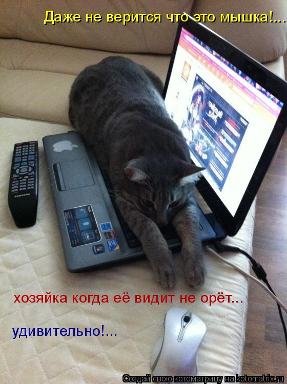 Котоматрица: Даже не верится что это мышка!... хозяйка когда её видит не орёт... удивительно!...