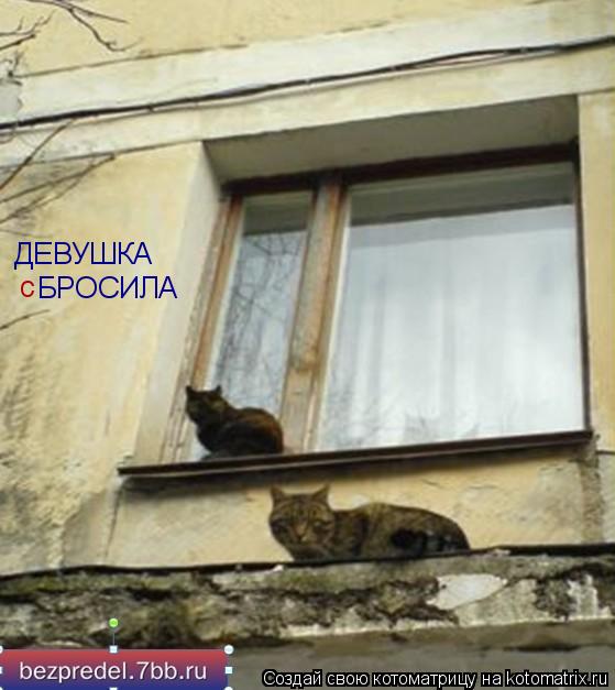 Котоматрица: ДЕВУШКА с БРОСИЛА