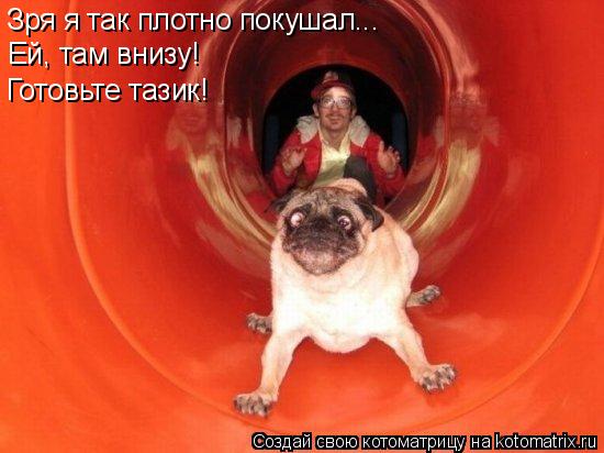 Котоматрица: Зря я так плотно покушал... Ей, там внизу! Готовьте тазик!