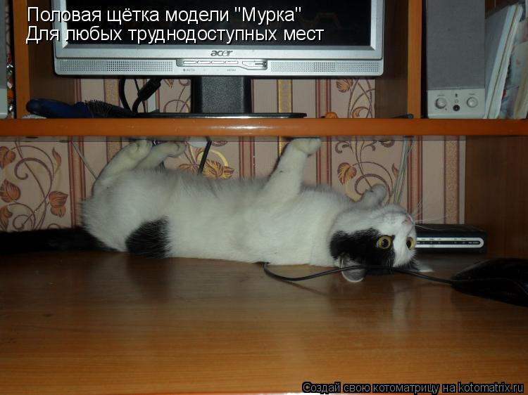 Котоматрица: Половая щётка модели "Мурка" Для любых труднодоступных мест