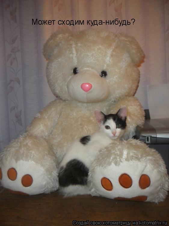 Котоматрица: Может сходим куда-нибудь?