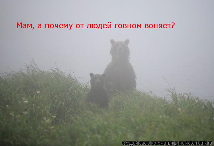 Котоматрица: Мам, а почему от людей говном воняет?