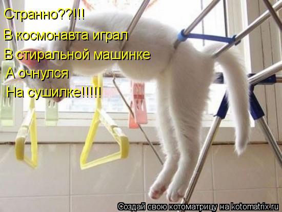 Котоматрица: Странно??!!! В космонавта играл  В стиральной машинке А очнулся На сушилке!!!!!