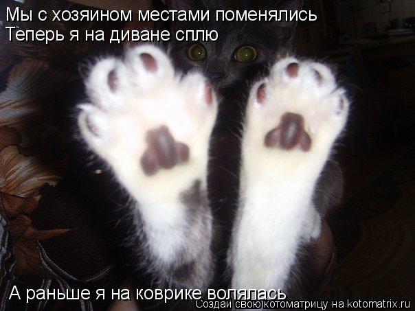 Котоматрица: Мы с хозяином местами поменялись Теперь я на диване сплю А раньше я на коврике волялась