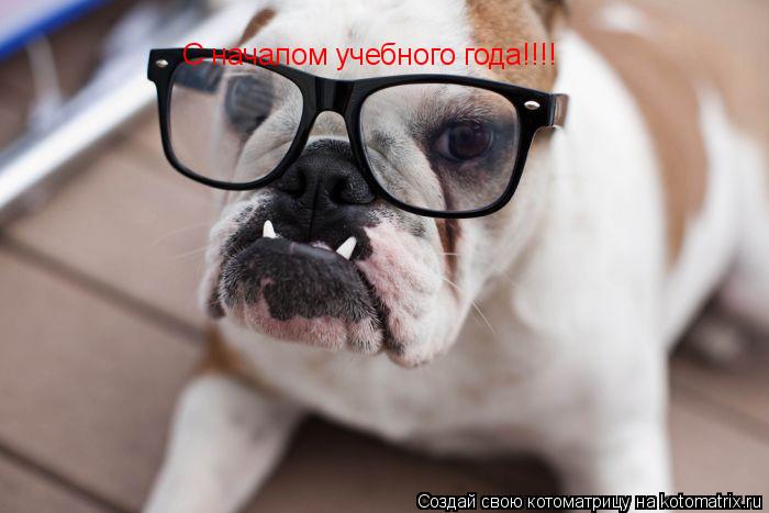 Котоматрица: С началом учебного года!!!!