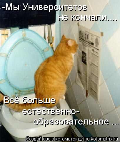 Котоматрица: -Мы Университетов не кончали.... естественно- образовательное.... Всё больше