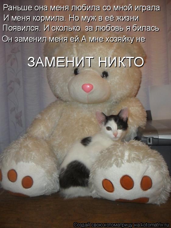 Котоматрица: Раньше она меня любила со мной играла И меня кормила. Но муж в её жизни  Появился. И сколько  за любовь я билась Он заменил меня ей.А мне хозяй