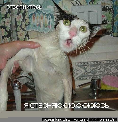 Котоматрица: отвернитесь Я СТЕСНЯЮЮЮЮЮЮЮСЬ
