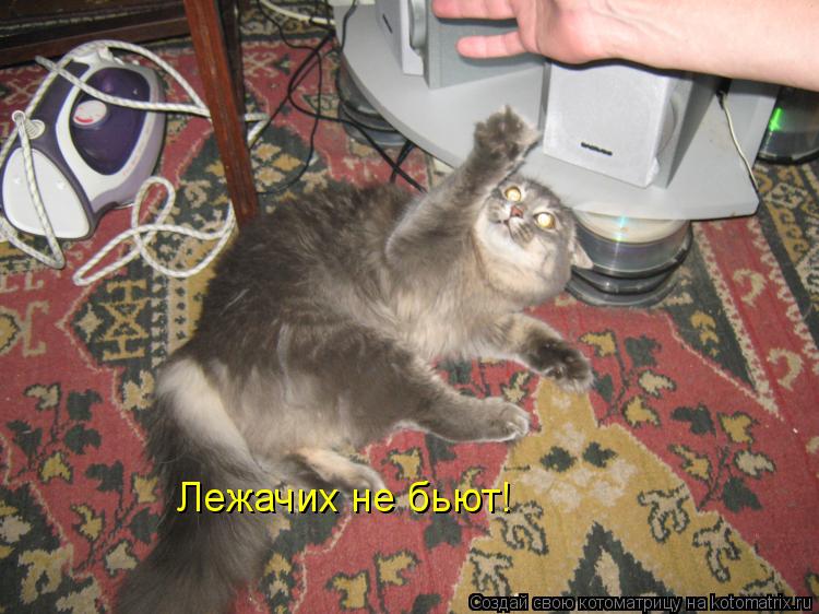 Котоматрица: Лежачих не бьют!