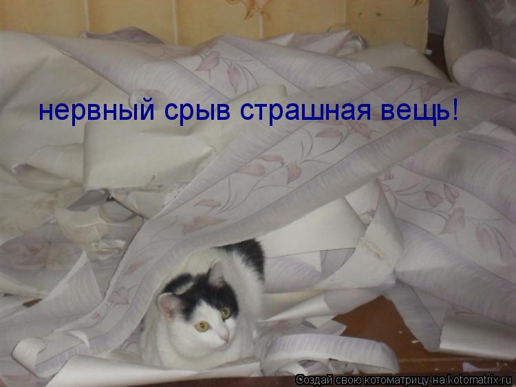 нервный срыв страшная вещь!... Котоматрица: нервный срыв страшная вещь!