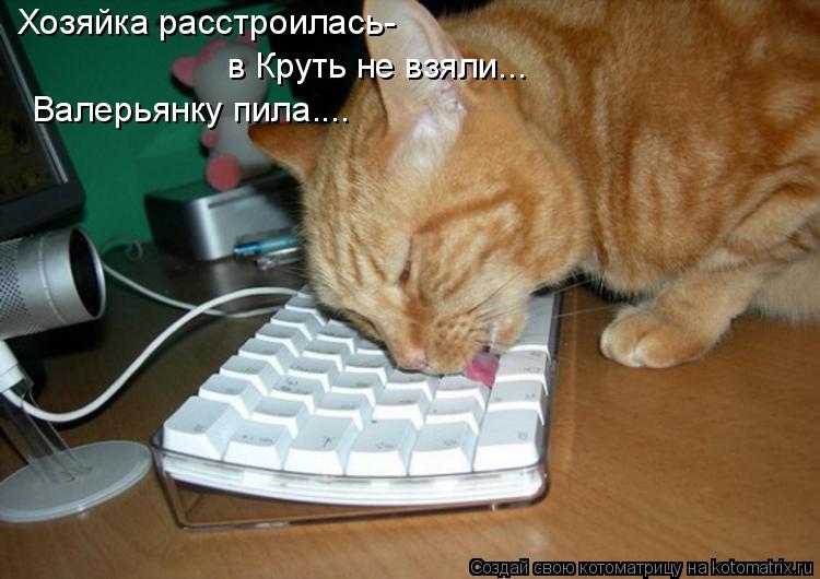 Хозяйка расстроилась- в Круть не взяли... Валерьянку пила....... Котоматрица: Хозяйка расстроилась- в Круть не взяли... Валерьянку пила....