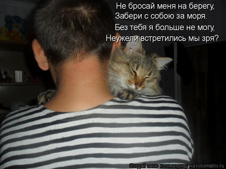 Не бросай меня на берегу, Забери с собою за моря. Без тебя я больше не могу, Неужели встретились мы з... Котоматрица: Не бросай меня на берегу, Забери с собою за моря. Без тебя я больше не могу, Неужели встретились мы зря?