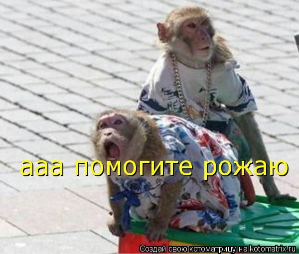 ааа помогите рожаю... Котоматрица: ааа помогите рожаю