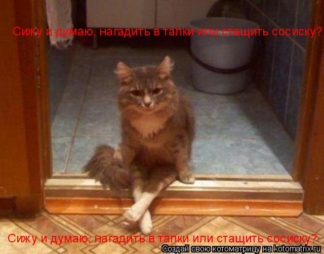 Сижу и думаю, нагадить в тапки или стащить сосиску? Сижу и думаю, нагадить в тапки или стащить сосиск... Котоматрица: Сижу и думаю, нагадить в тапки или стащить сосиску? Сижу и думаю, нагадить в тапки или стащить сосиску?