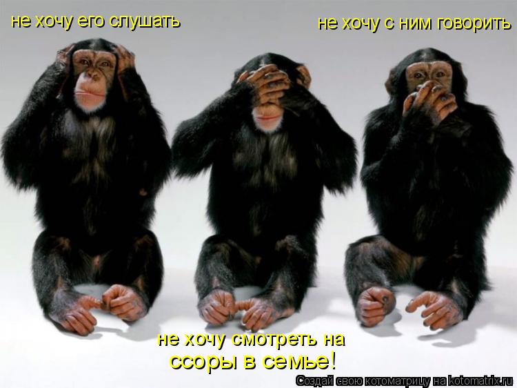 не хочу смотреть на ссоры в семье! не хочу его слушать не хочу с ним говорить... Котоматрица: не хочу смотреть на ссоры в семье! не хочу его слушать не хочу с ним говорить