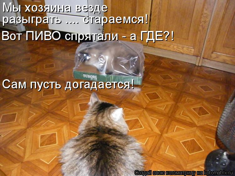 Мы хозяина везде разыграть .... стараемся! Вот ПИВО спрятали - а ГДЕ?! Сам пусть догадается!... Котоматрица: Мы хозяина везде разыграть .... стараемся! Вот ПИВО спрятали - а ГДЕ?! Сам пусть догадается!