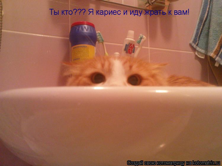 Ты кто??? Я кариес и иду жрать к вам!... Котоматрица: Ты кто??? Я кариес и иду жрать к вам!