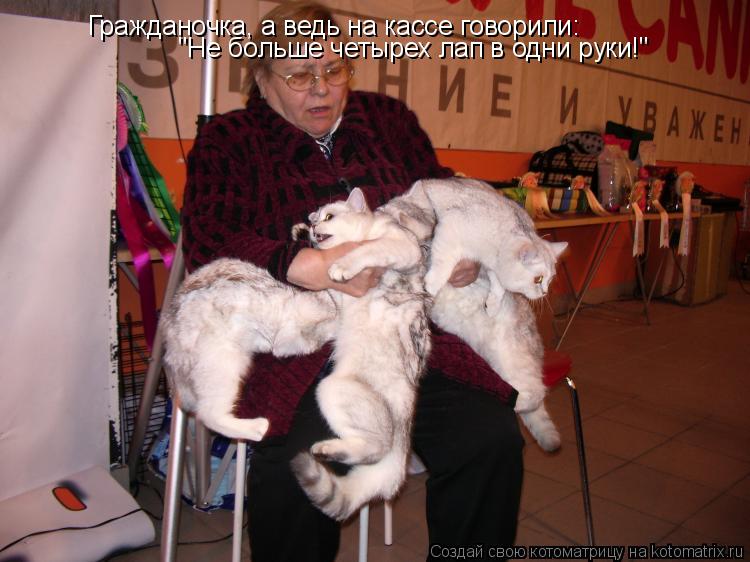 Гражданочка, а ведь на кассе говорили: "Не больше четырех лап в одни руки!"... Котоматрица: Гражданочка, а ведь на кассе говорили: "Не больше четырех лап в одни руки!"