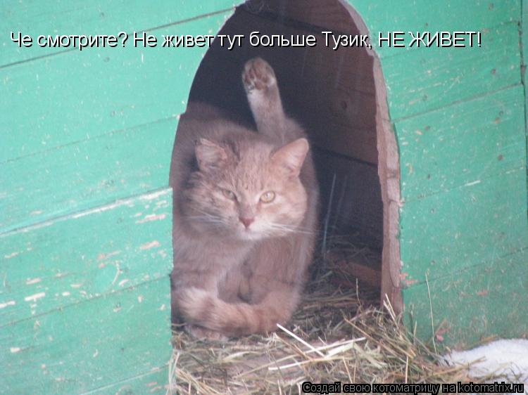 Че смотрите? Не живет тут больше Тузик, НЕ ЖИВЕТ!... Котоматрица: Че смотрите? Не живет тут больше Тузик, НЕ ЖИВЕТ!
