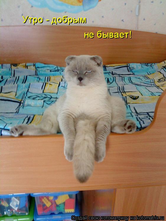 Утро - добрым не бывает!... Котоматрица: Утро - добрым не бывает!