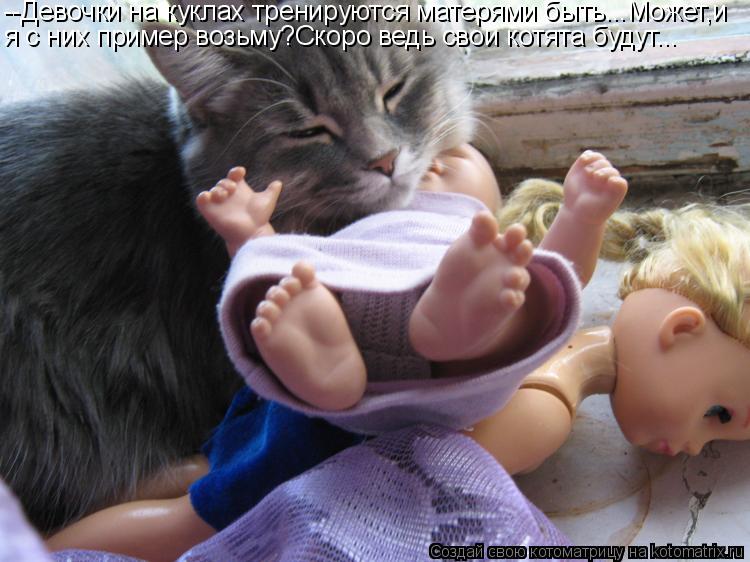 Котоматрица: --Девочки на куклах тренируются матерями быть...Может,и я с них пример возьму?Скоро ведь свои котята будут...