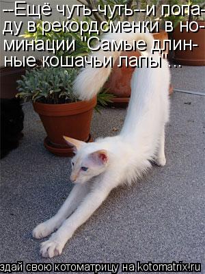 Котоматрица: --Ещё чуть-чуть--и попа- ду в рекордсменки в но- минации "Самые длин- ные кошачьи лапы"...