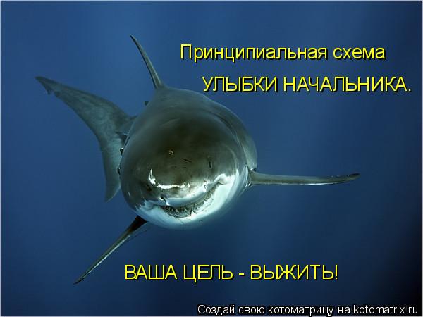 Котоматрица: Принципиальная схема УЛЫБКИ НАЧАЛЬНИКА. ВАША ЦЕЛЬ - ВЫЖИТЬ!