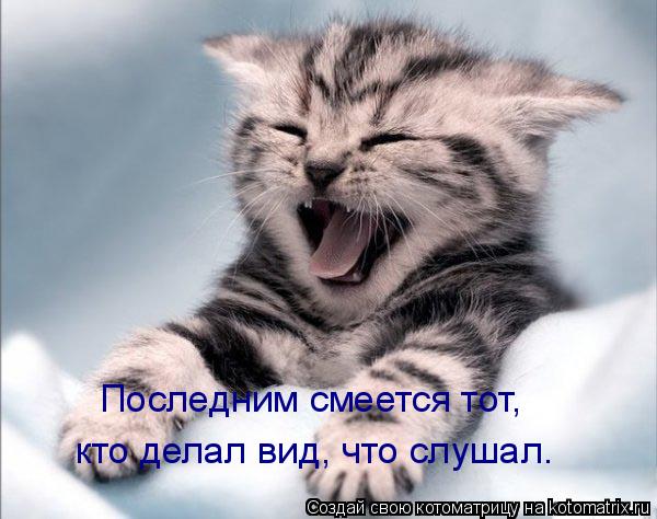 Котоматрица: кто делал вид, что слушал. Последним смеется тот,