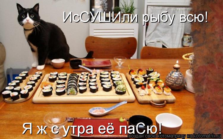 Котоматрица: ИсСУШИли рыбу всю! Я ж с утра её паСю!