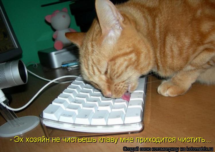 - Эх хозяйн не чистьешь клаву мне приходится чистить...... Котоматрица: - Эх хозяйн не чистьешь клаву мне приходится чистить...
