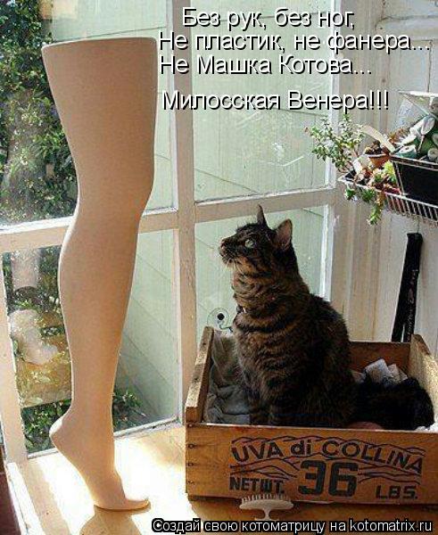 Без рук, без ног Без рук, без ног, Не пластик, не фанера... Не Машка Котова... Милосская Венера!!!... Котоматрица: Без рук, без ног Без рук, без ног, Не пластик, не фанера... Не Машка Котова... Милосская Венера!!!