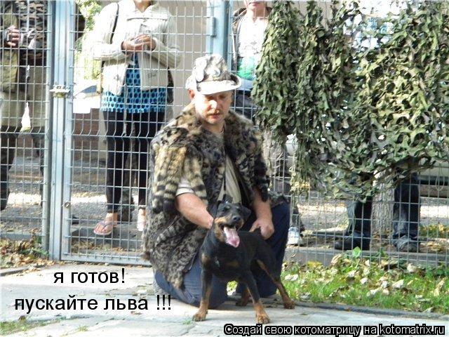 я готов! пускайте льва !!!... Котоматрица: я готов! пускайте льва !!!