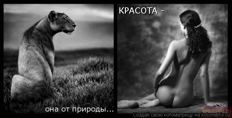 КРАСОТА - она от природы...... Котоматрица: КРАСОТА - она от природы...