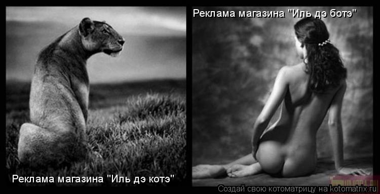 Реклама магазина "Иль дэ ботэ" Реклама магазина "Иль дэ котэ"... Котоматрица: Реклама магазина "Иль дэ ботэ" Реклама магазина "Иль дэ котэ"