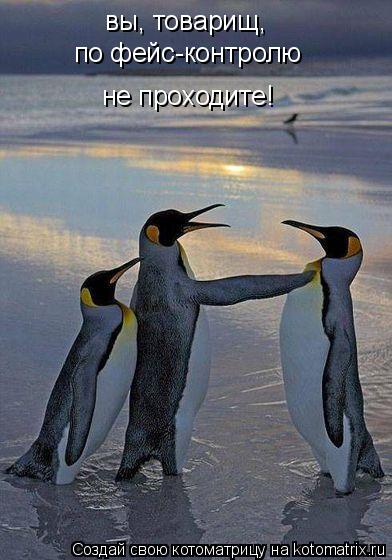 вы, товарищ, по фейс-контролю не проходите!... Котоматрица: вы, товарищ, по фейс-контролю не проходите!