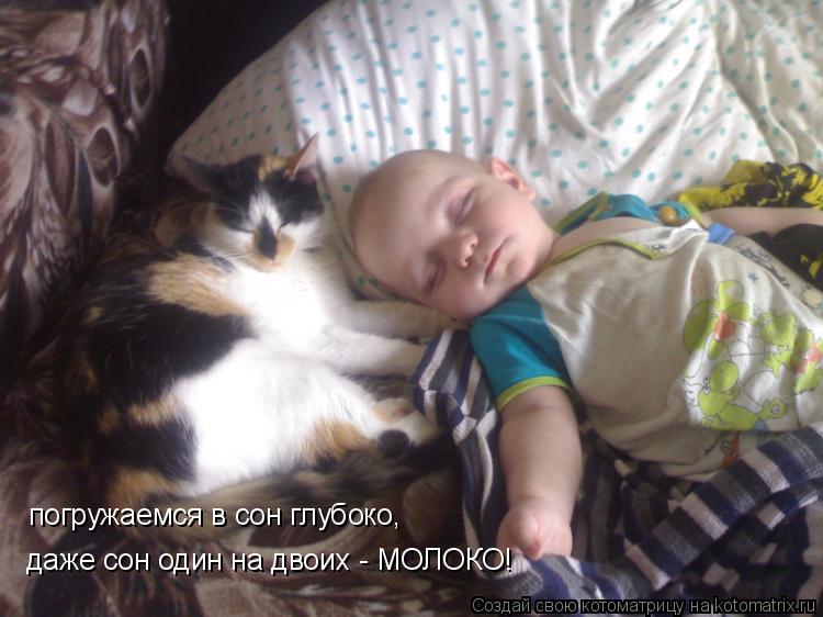 погружаемся в сон глубоко, даже сон один на двоих - МОЛОКО!... Котоматрица: погружаемся в сон глубоко, даже сон один на двоих - МОЛОКО!