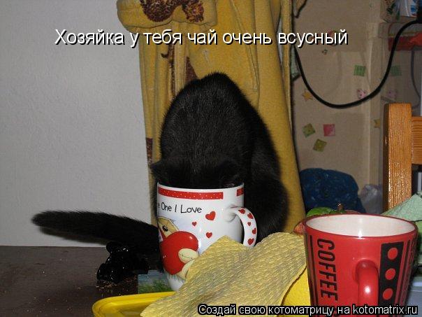 Хозяйка у тебя чай очень всусный... Котоматрица: Хозяйка у тебя чай очень всусный