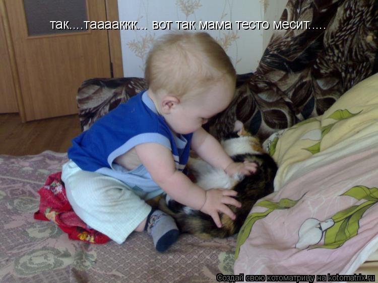 так....тааааккк... вот так мама тесто месит........ Котоматрица: так....тааааккк... вот так мама тесто месит.....