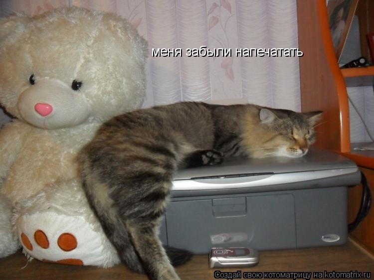 меня забыли напечатать... Котоматрица: меня забыли напечатать