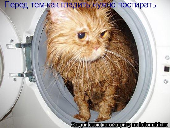 Перед тем как гладить,нужно постирать... Котоматрица: Перед тем как гладить,нужно постирать