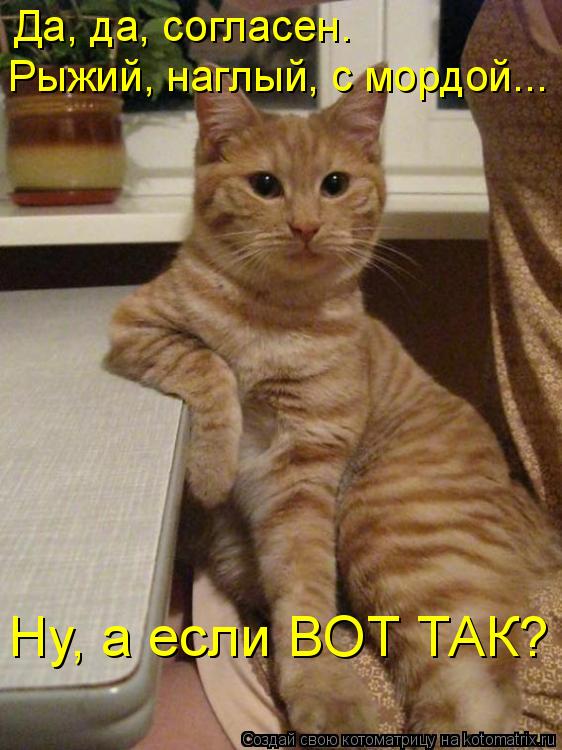 Котоматрица: Да, да, согласен. Рыжий, наглый, с мордой... Ну, а если ВОТ ТАК?