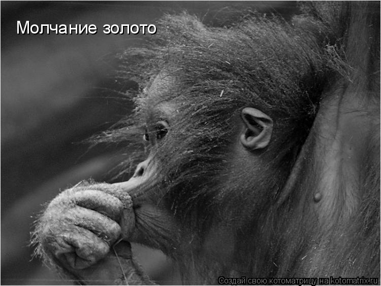 Котоматрица: Молчание золото