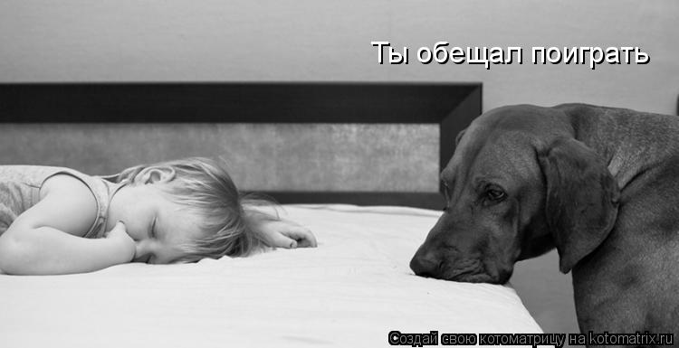 Котоматрица: Ты обещал поиграть