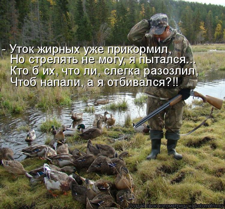 - Уток жирных уже прикормил, Но стрелять не могу, я пытался... Кто б их, что ли, слегка разозлил, Что... Котоматрица: - Уток жирных уже прикормил, Но стрелять не могу, я пытался... Кто б их, что ли, слегка разозлил, Чтоб напали, а я отбивался?!!