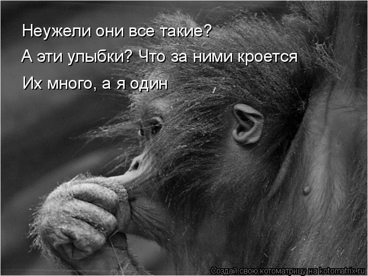 Неужели они все такие? А эти улыбки? Что за ними кроется Их много, а я один... Котоматрица: Неужели они все такие? А эти улыбки? Что за ними кроется Их много, а я один