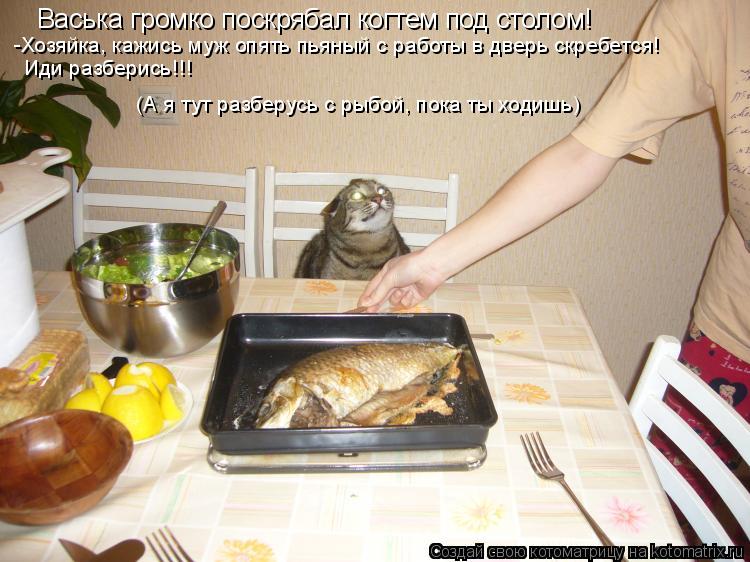 Котоматрица: Васька громко поскрябал когтем под столом! -Хозяйка, кажись муж опять пьяный с работы в дверь скребется! Иди разберись!!! (А я тут разберусь с 
