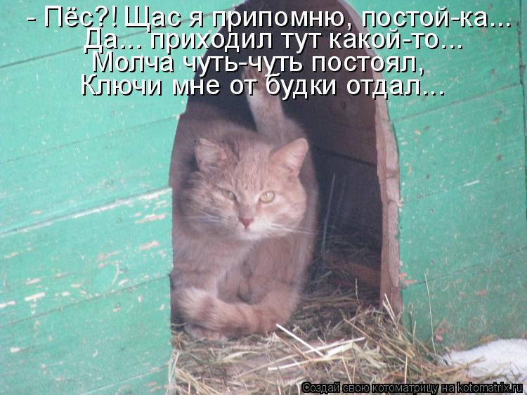 - Пёс?! Щас я припомню, постой-ка... Да... приходил тут какой-то... Молча чуть-чуть постоял, Ключи мн... Котоматрица: - Пёс?! Щас я припомню, постой-ка... Да... приходил тут какой-то... Молча чуть-чуть постоял, Ключи мне от будки отдал...