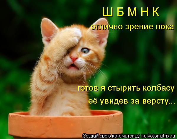 отлично зрение пока Ш Б М Н К готов я стырить колбасу её увидев за версту...... Котоматрица: отлично зрение пока Ш Б М Н К готов я стырить колбасу её увидев за версту...